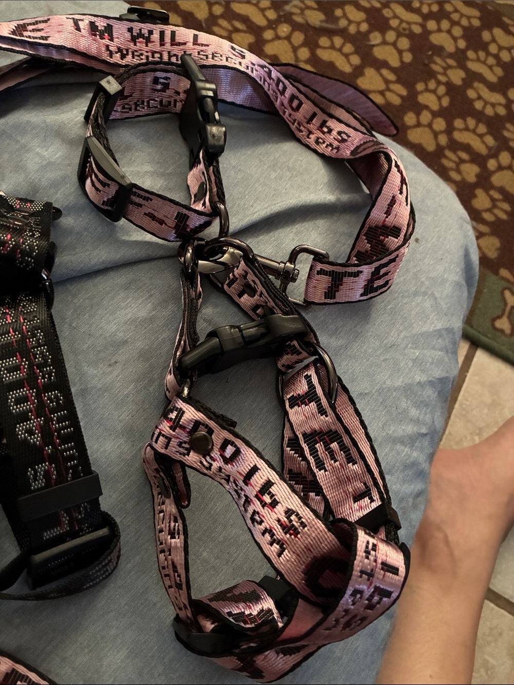 2xsmall, one small off white
Leash, collar, step in double clamp harness - Picture 2 of 5